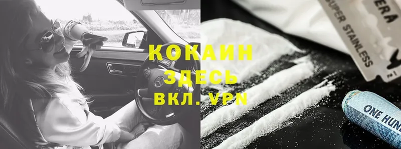 COCAIN Fish Scale  Костерёво 